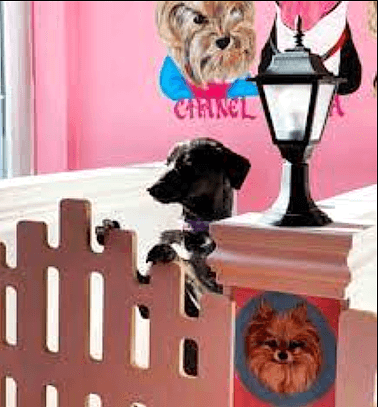 Etiler Pet House Galeri 17