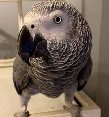 Etiler Pet House Galeri 4